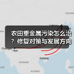 农田重金属污染怎么治?修复对策与发展方向全解析(图4) 农田重金属污染怎么治?修复对策与发展方向全解析(图4)
