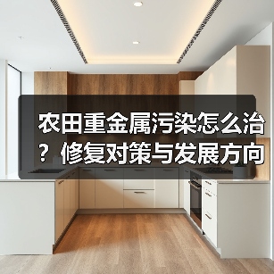 农田重金属污染怎么治?修复对策与发展方向全解析(图3) 农田重金属污染怎么治?修复对策与发展方向全解析(图3)
