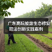 广东高院披露生态修复司法创新实践案例(图2) 广东高院披露生态修复司法创新实践案例(图2)