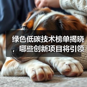 绿色低碳技术榜单揭晓，哪些创新项目将引领产业变革？（图3）
