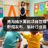 青海抽水蓄能项目管理新规发布,填补行业监管空白促高质量发展(图2) 青海抽水蓄能项目管理新规发布,填补行业监管空白促高质量发展(图2)