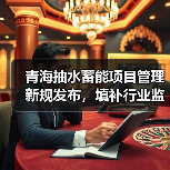 青海抽水蓄能项目管理新规发布,填补行业监管空白促高质量发展(图4) 青海抽水蓄能项目管理新规发布,填补行业监管空白促高质量发展(图4)
