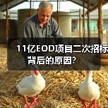 11亿EOD项目二次招标背后的原因？（图4）