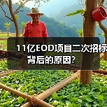 11亿EOD项目二次招标背后的原因？（图1）