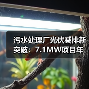 污水处理厂光伏减排新突破：7.1MW项目年减碳3500吨（图4）