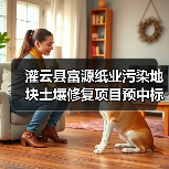 灌云县富源纸业污染地块土壤修复项目预中标，谁将主导？（图1）