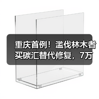 重庆首例！滥伐林木者买碳汇替代修复，7万元如何补偿生态？（图1）