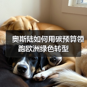 奥斯陆如何用碳预算领跑欧洲绿色转型（图2）