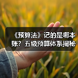 《预算法》记的是哪本账？五级预算体系揭秘（图4）