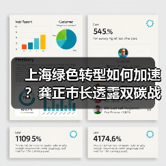 上海绿色转型如何加速?龚正市长透露双碳战略关键举措(图3) 上海绿色转型如何加速?龚正市长透露双碳战略关键举措(图3)