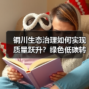 铜川生态治理如何实现质量跃升？绿色低碳转型路径解析（图4）
