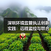 深圳环境监管执法创新实践：远程监控与联合查处如何提升执法效能？（图4）