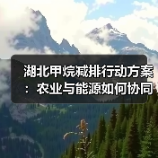 湖北甲烷减排行动方案：农业与能源如何协同治理？（图1）