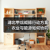 湖北甲烷减排行动方案：农业与能源如何协同治理？（图3）