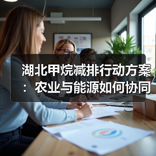 湖北甲烷减排行动方案：农业与能源如何协同治理？（图4）