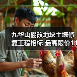 九华山棚改地块土壤修复工程招标 最高限价1142万元!(图3) 九华山棚改地块土壤修复工程招标 最高限价1142万元!(图3)