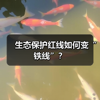 生态保护红线如何变“铁线”？（图3）