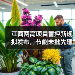 江西两高项目管控新规拟发布，节能未批先建如何应对？（图2）