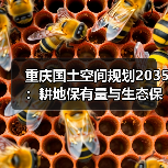 重庆国土空间规划2035：耕地保有量与生态保护红线如何落地？（图3）