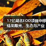 17亿湖北EOD项目中标结果曝光，生态与产业如何双赢？（图2）