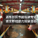 浦东新区节能低碳专项资金新规助力双碳目标（图2）