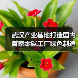 武汉产业基地打造国内首家零碳工厂绿色制造新标杆（图4）