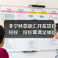 丰宁林草碳汇开发项目招标：投标需满足哪些条件？（图4）