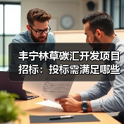 丰宁林草碳汇开发项目招标：投标需满足哪些条件？（图3）