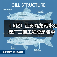 1.6亿！江苏九龙污水处理厂二期工程总承包中标（图1）