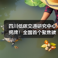 四川低碳交通研究中心揭牌!全国首个聚焦碳中和交通创新(图1) 四川低碳交通研究中心揭牌!全国首个聚焦碳中和交通创新(图1)