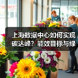 上海数据中心如何实现碳达峰？能效目标与绿色转型路径解析（图4）