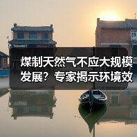 煤制天然气不应大规模发展?专家揭示环境效益与经济指标(图1) 煤制天然气不应大规模发展?专家揭示环境效益与经济指标(图1)