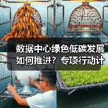 数据中心绿色低碳发展如何推进？专项行动计划解读（图1）