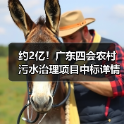 约2亿！广东四会农村污水治理项目中标详情（图3）