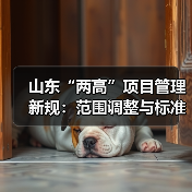 山东“两高”项目管理新规:范围调整与标准优化(图4) 山东“两高”项目管理新规:范围调整与标准优化(图4)