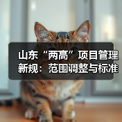 山东“两高”项目管理新规:范围调整与标准优化(图1) 山东“两高”项目管理新规:范围调整与标准优化(图1)