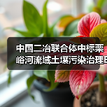 中国二冶联合体中标栗峪河流域土壤污染治理EPC项目（图3）