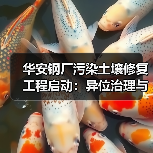 华安钢厂污染土壤修复工程启动:异位治理与生态恢复方案曝光(图1) 华安钢厂污染土壤修复工程启动:异位治理与生态恢复方案曝光(图1)