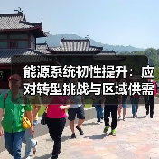 能源系统韧性提升:应对转型挑战与区域供需波动的关键策略(图4) 能源系统韧性提升:应对转型挑战与区域供需波动的关键策略(图4)