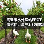 高盐废水处理站EPC工程招标：年产3.3万吨氯化钙工艺揭秘（图2）