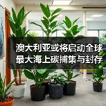 澳大利亚或将启动全球最大海上碳捕集与封存项目(图4) 澳大利亚或将启动全球最大海上碳捕集与封存项目(图4)