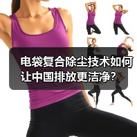 电袋复合除尘技术如何让中国排放更洁净?(图4) 电袋复合除尘技术如何让中国排放更洁净?(图4)