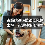 省级碳达峰路线图陆续出炉，能源转型如何差异布局？（图2）