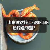 山东碳达峰工程如何驱动绿色转型？（图2）