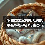 陕西国土空间规划如何平衡耕地保护与生态发展?(图4) 陕西国土空间规划如何平衡耕地保护与生态发展?(图4)