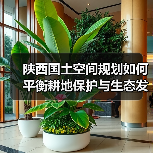 陕西国土空间规划如何平衡耕地保护与生态发展?(图2) 陕西国土空间规划如何平衡耕地保护与生态发展?(图2)