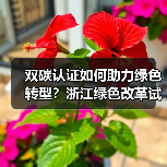双碳认证如何助力绿色转型?浙江绿色改革试点启动(图1) 双碳认证如何助力绿色转型?浙江绿色改革试点启动(图1)