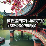 植物蛋白替代羊毛真的能减少30倍碳排?(图4) 植物蛋白替代羊毛真的能减少30倍碳排?(图4)