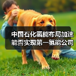 中国石化氢能布局加速能否实现第一氢能公司目标?(图2) 中国石化氢能布局加速能否实现第一氢能公司目标?(图2)