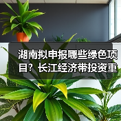 湖南拟申报哪些绿色项目？长江经济带投资重点曝光（图4）